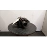ALTERNATORE 022 FIAT DUCATO (4X) (05/11-04/14) 250A1000 52003506