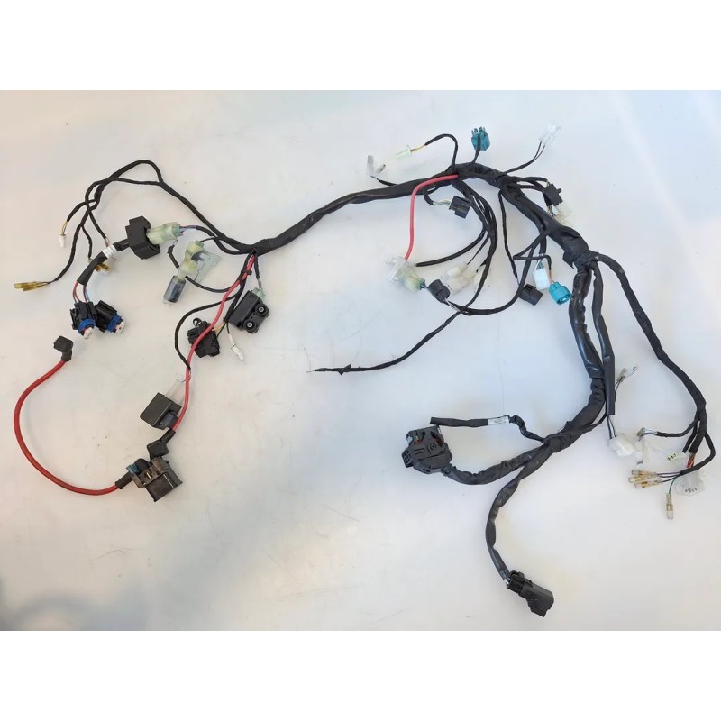 Cablaggio impianto elettrico telaio Beta RR Motard 125 4T (E5) RR Motard 125 4T 