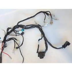 Cablaggio impianto elettrico telaio Beta RR Motard 125 4T (E5) RR Motard 125 4T 