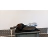 SEMIALBERO ANT. COMPL. DX. 087 NISSAN QASHQAI (J10E/JJ10E) (09/10-09 K9K 39100BB32B