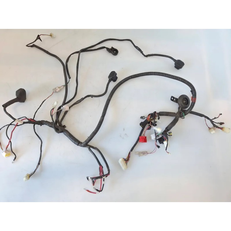 Cablaggio impianto elettrico telaio Niu NQi Cargo MY21 