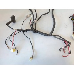 Cablaggio impianto elettrico telaio Niu NQi Cargo MY21 