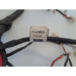 Cablaggio impianto elettrico telaio Niu NQi Cargo MY21 