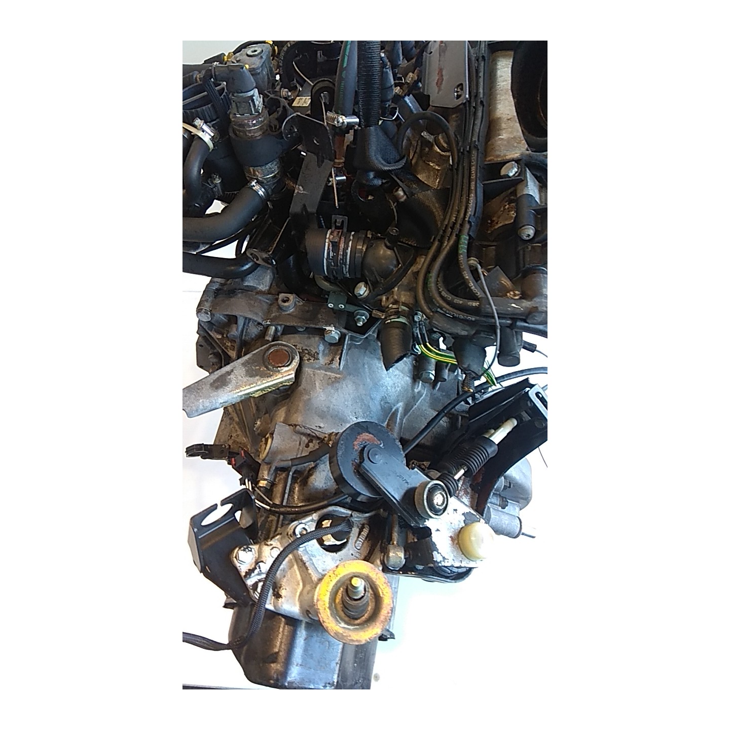 CAMBIO COMPL. 049 LANCIA Z (09/94-09/02) RGX 9566758388