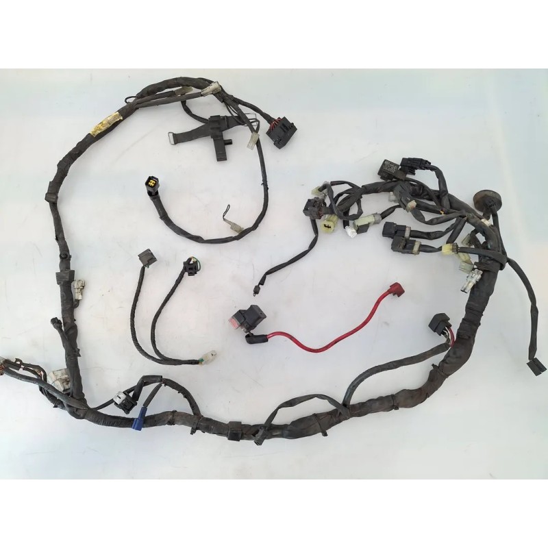 Cablaggio impianto elettrico telaio Yamaha Majesty 400 Majesty 400 monodisco ant. (E2) 