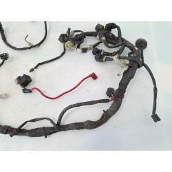 Cablaggio impianto elettrico telaio Yamaha Majesty 400 Majesty 400 monodisco ant. (E2) 