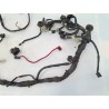 Cablaggio impianto elettrico telaio Yamaha Majesty 400 Majesty 400 monodisco ant. (E2) 