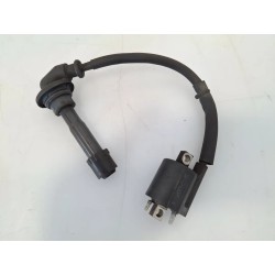 Bobina Yamaha Majesty 400 Majesty 400 monodisco ant. (E2) 