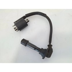 Bobina Yamaha Majesty 400 Majesty 400 monodisco ant. (E2) 