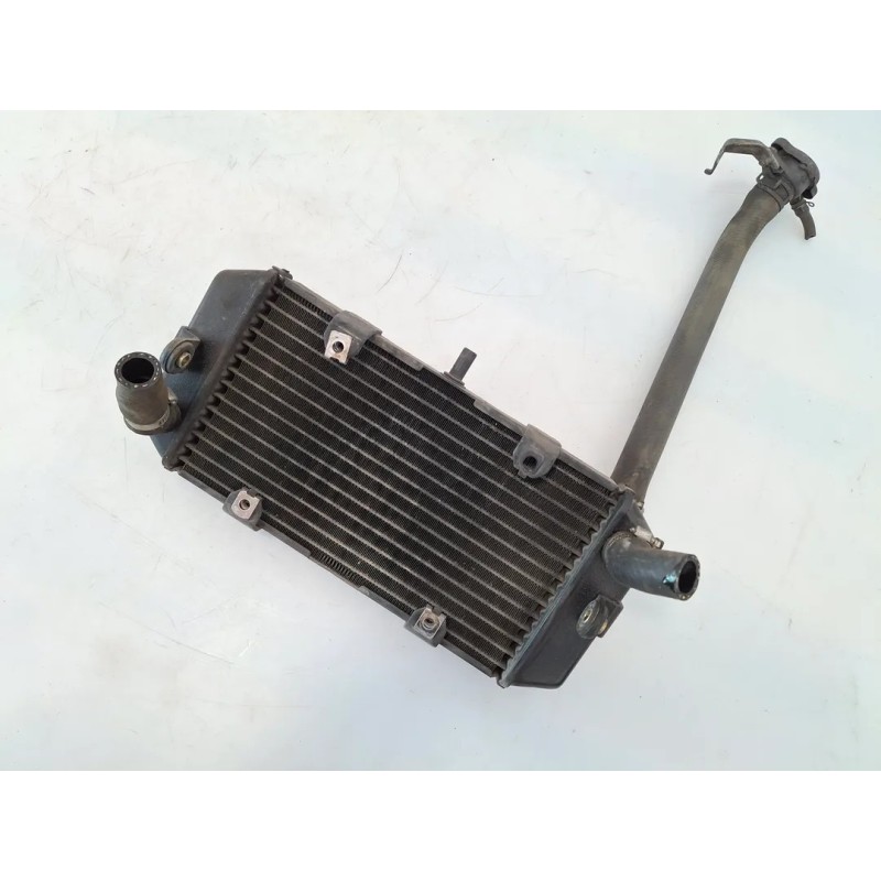 Radiatore Yamaha Majesty 400 Majesty 400 monodisco ant. (E2) 