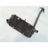 Radiatore Yamaha Majesty 400 Majesty 400 monodisco ant. (E2) 