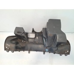 Carenatura anteriore parte interno/bauletto Yamaha Majesty 400 Majesty 400 doppio disco ant. (E2) 