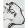 Cablaggio impianto elettrico telaio Honda NSC Vision 50 (E2) Vision 50 
