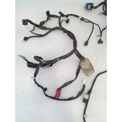 Cablaggio impianto elettrico telaio Honda NSC Vision 50 (E2) Vision 50 