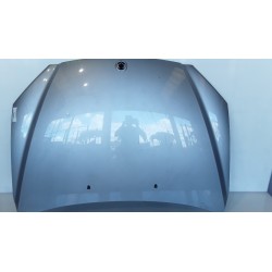 COFANO ANT. 056 SSANGYONG KYRON/NEW KYRON (11/05-) 664950 6101109010