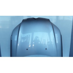 COFANO ANT. 146 CITROEN C5 (X7) (02/08-) 4H02 7901P3