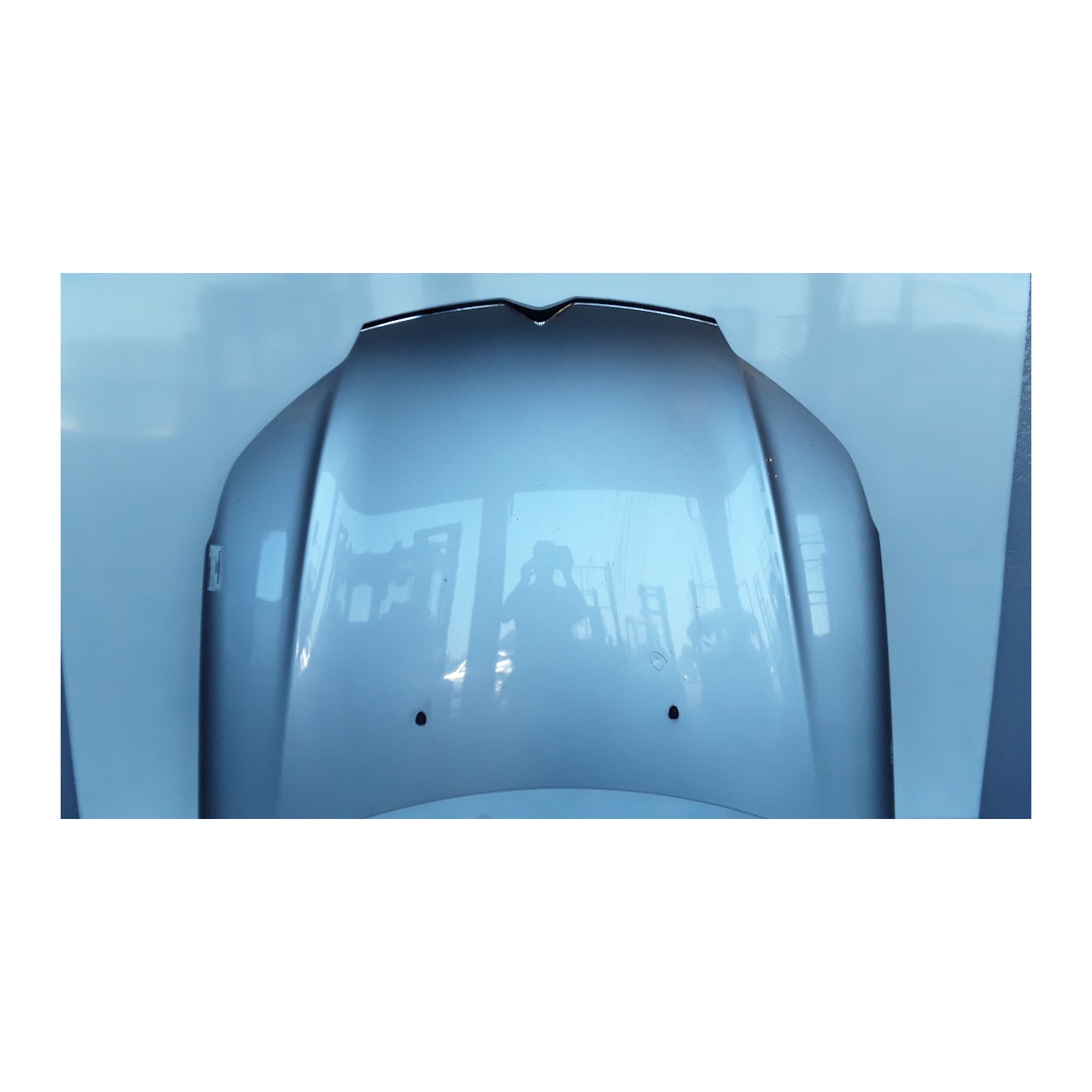 COFANO ANT. 146 CITROEN C5 (X7) (02/08-) 4H02 7901P3