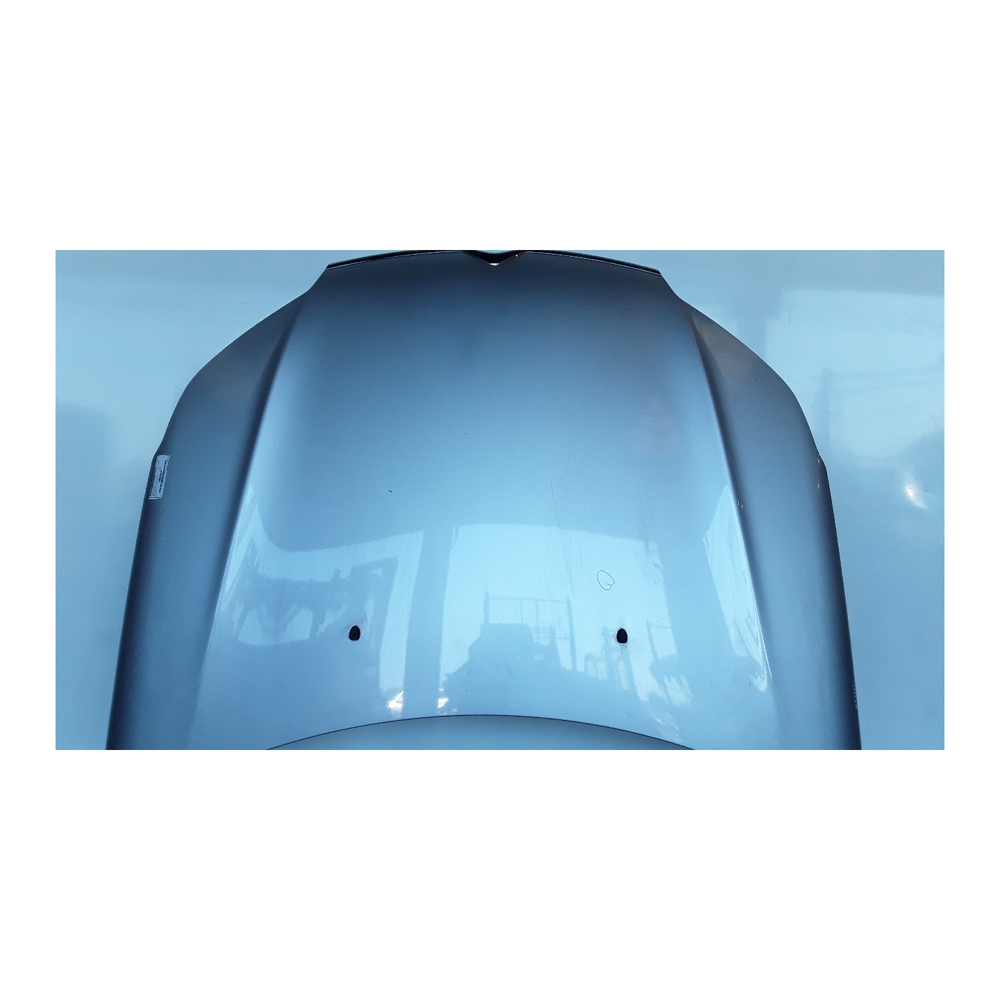 COFANO ANT. 146 CITROEN C5 (X7) (02/08-) 4H02 7901P3