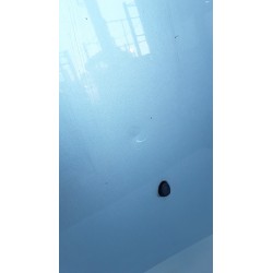 COFANO ANT. 146 CITROEN C5 (X7) (02/08-) 4H02 7901P3