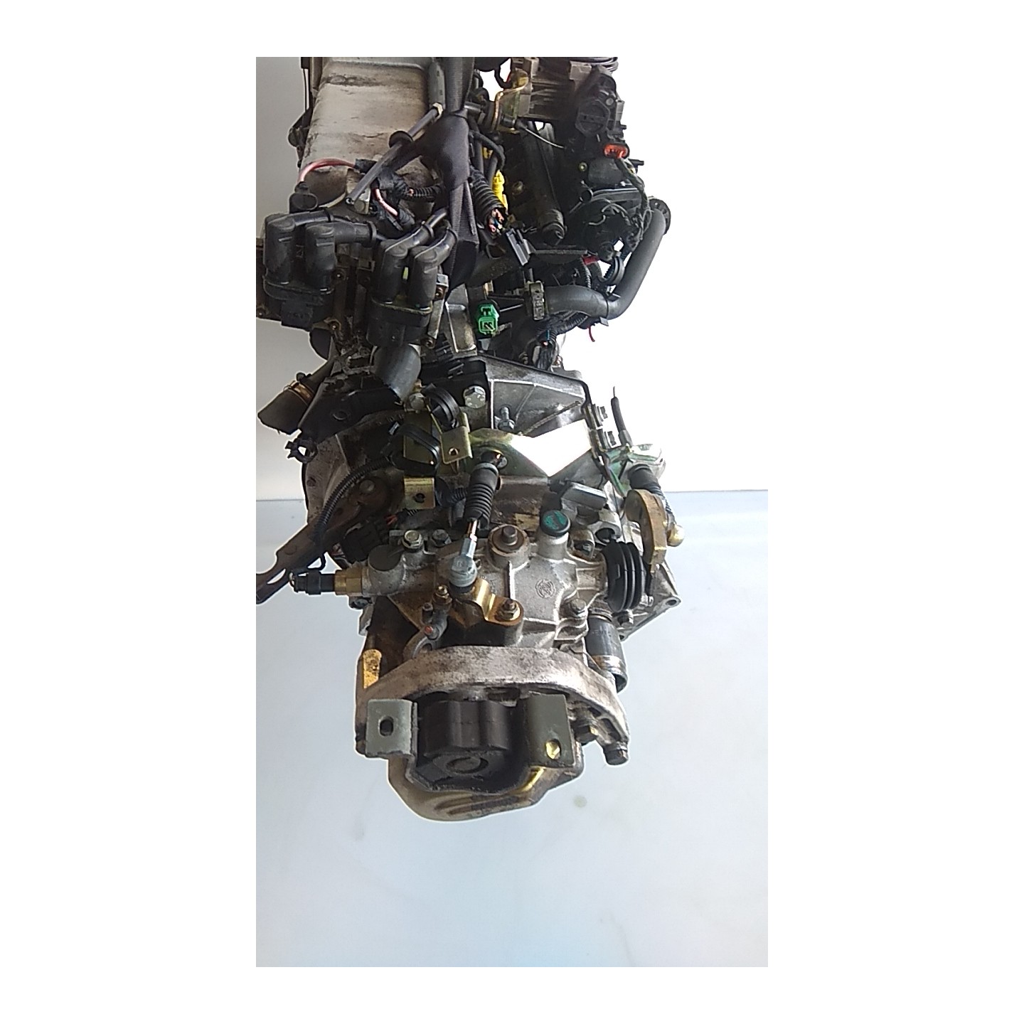 CAMBIO COMPL. 005 FIAT SEICENTO (1E) (02/98-07/05) 187A1000 55183059