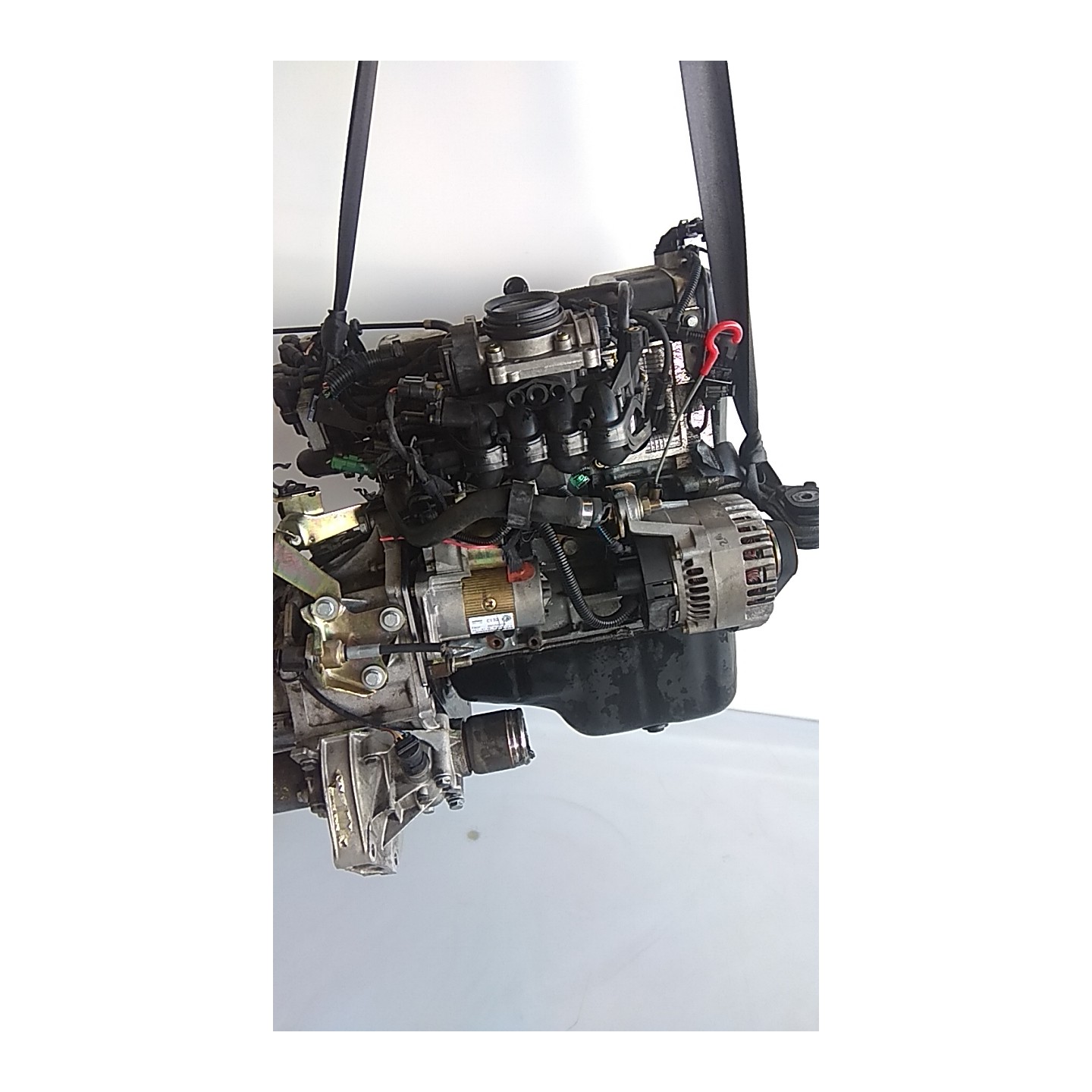MOTORE SEMICOMPL. 006 FIAT SEICENTO (1E) (02/98-07/05) 187A1000 71739484