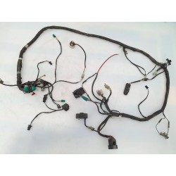 Cablaggio impianto elettrico telaio Kymco Grand Dink Grand Dink 250 