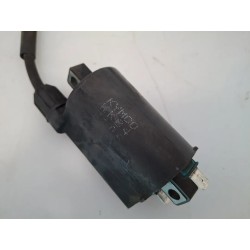 Bobina Kymco Grand Dink Grand Dink 250 