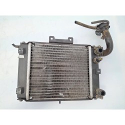 Radiatore Kymco Grand Dink Grand Dink 250 