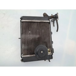 Radiatore Kymco Grand Dink Grand Dink 250 