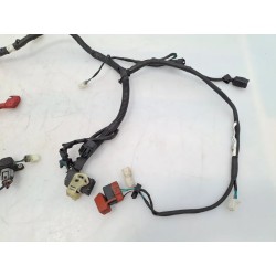 Cablaggio impianto elettrico telaio Kymco People S 50 (E5) People S 50 