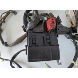 Cablaggio impianto elettrico telaio Honda NSC Vision 110 (E4) Vision 110 