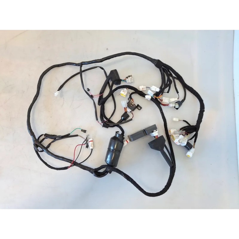 Cablaggio impianto elettrico telaio HORWIN EK3 ELETTRIC 