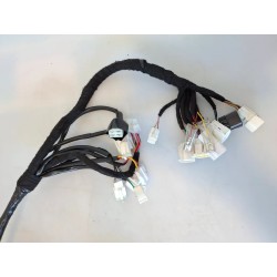 Cablaggio impianto elettrico telaio HORWIN EK3 ELETTRIC 