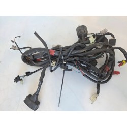 Cablaggio impianto elettrico telaio Malaguti F12-R Phantom 50 LC (07-) F12-R Phantom 50 LC 