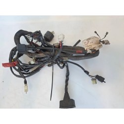 Cablaggio impianto elettrico telaio Malaguti F12-R Phantom 50 LC (07-) F12-R Phantom 50 LC 