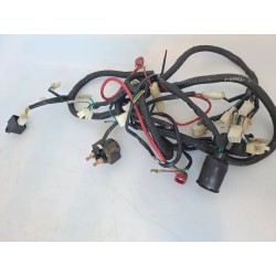 Cablaggio impianto elettrico telaio FOSTI FOSHAN CITY LAMBRETTA 125N 