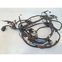 Cablaggio impianto elettrico telaio Yamaha X-Max 250 (E2) X-Max 250 