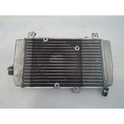 Radiatore Piaggio Mp3 Yourban Mp3 300 Yourban ERL Euro 3 