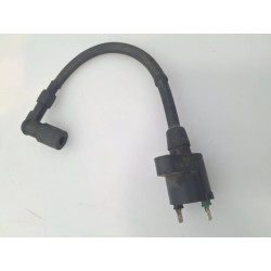 Bobina Yamaha X-Max 250 (E2) X-Max 250 