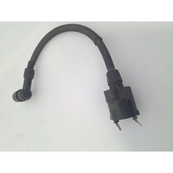 Bobina Yamaha X-Max 250 (E2) X-Max 250 