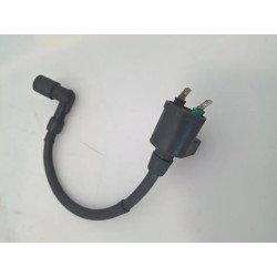 Bobina Yamaha X-Max 250 (E2) X-Max 250 