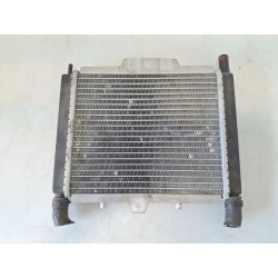 Radiatore Peugeot Geopolis 400 Geo400 