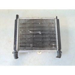 Radiatore Peugeot Geopolis 400 Geo400 