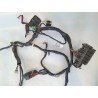 Cablaggio impianto elettrico telaio Peugeot Geopolis 400 Geo400 