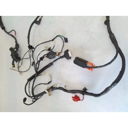 Cablaggio impianto elettrico telaio Peugeot Geopolis 400 Geo400 