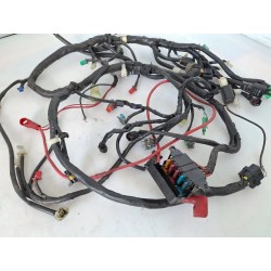 Cablaggio impianto elettrico telaio Benelli ZenZero ZenZero 350 