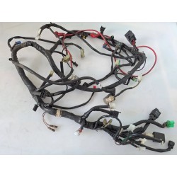 Cablaggio impianto elettrico telaio Benelli ZenZero ZenZero 350 