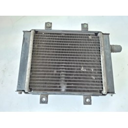 Radiatore Benelli ZenZero ZenZero 350 