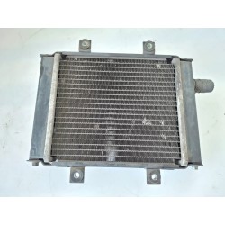 Radiatore Benelli ZenZero ZenZero 350 