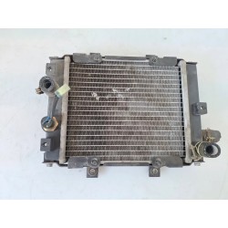 Radiatore Benelli ZenZero ZenZero 350 